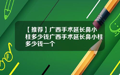 【推荐】广西手术延长鼻小柱多少钱广西手术延长鼻小柱多少钱一个