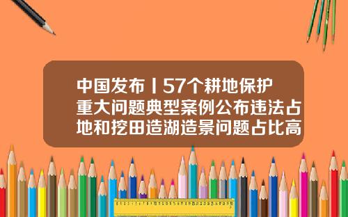 中国发布丨57个耕地保护重大问题典型案例公布违法占地和挖田造湖造景问题占比高保山牙齿矫正