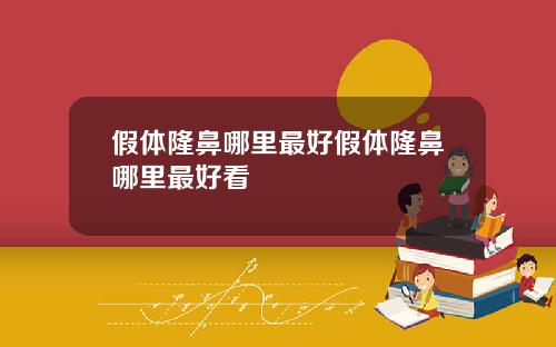 假体隆鼻哪里最好假体隆鼻哪里最好看