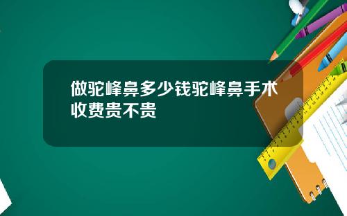 做驼峰鼻多少钱驼峰鼻手术收费贵不贵