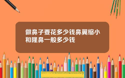 做鼻子要花多少钱鼻翼缩小和隆鼻一般多少钱