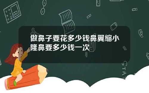 做鼻子要花多少钱鼻翼缩小隆鼻要多少钱一次