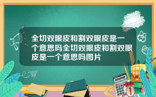 全切双眼皮和割双眼皮是一个意思吗全切双眼皮和割双眼皮是一个意思吗图片
