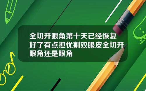 全切开眼角第十天已经恢复好了有点担忧割双眼皮全切开眼角还是眼角