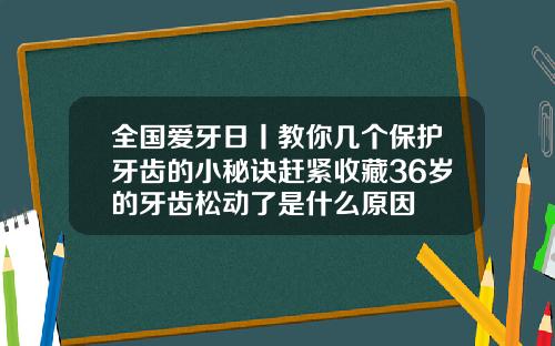 全国爱牙日丨教你几个保护牙齿的小秘诀赶紧收藏36岁的牙齿松动了是什么原因