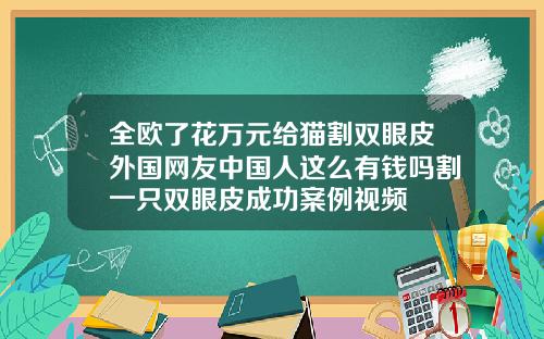 全欧了花万元给猫割双眼皮外国网友中国人这么有钱吗割一只双眼皮成功案例视频