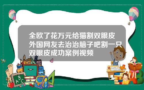 全欧了花万元给猫割双眼皮外国网友去治治脑子吧割一只双眼皮成功案例视频