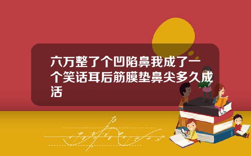 六万整了个凹陷鼻我成了一个笑话耳后筋膜垫鼻尖多久成活