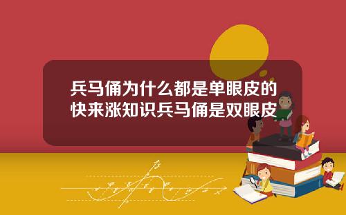 兵马俑为什么都是单眼皮的快来涨知识兵马俑是双眼皮