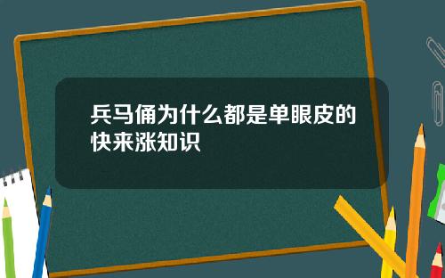 兵马俑为什么都是单眼皮的快来涨知识