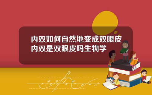 内双如何自然地变成双眼皮内双是双眼皮吗生物学