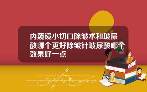 内窥镜小切口除皱术和玻尿酸哪个更好除皱针玻尿酸哪个效果好一点