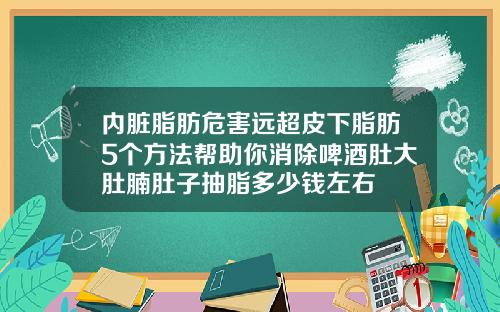 内脏脂肪危害远超皮下脂肪5个方法帮助你消除啤酒肚大肚腩肚子抽脂多少钱左右