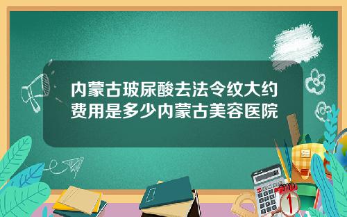 内蒙古玻尿酸去法令纹大约费用是多少内蒙古美容医院