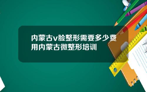 内蒙古v脸整形需要多少费用内蒙古微整形培训