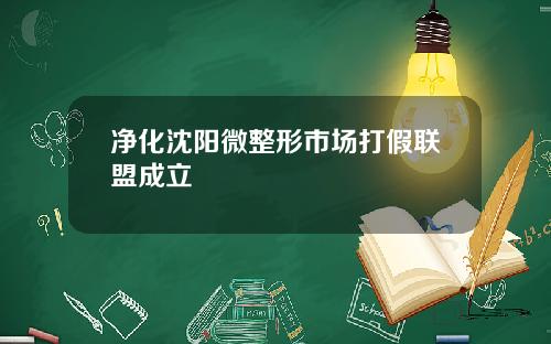 净化沈阳微整形市场打假联盟成立