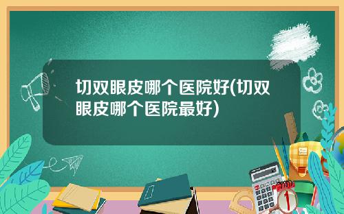 切双眼皮哪个医院好(切双眼皮哪个医院最好)