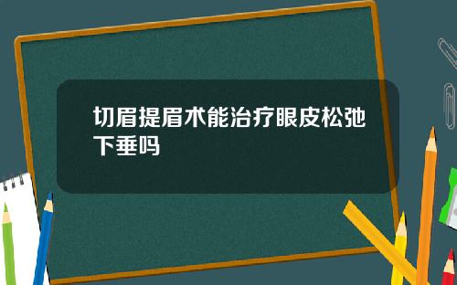 切眉提眉术能治疗眼皮松弛下垂吗