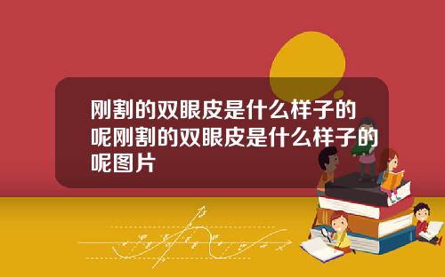 刚割的双眼皮是什么样子的呢刚割的双眼皮是什么样子的呢图片