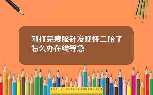 刚打完瘦脸针发现怀二胎了怎么办在线等急