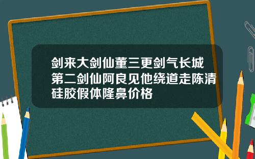 剑来大剑仙董三更剑气长城第二剑仙阿良见他绕道走陈清硅胶假体隆鼻价格