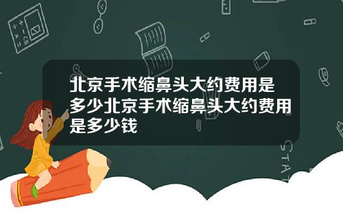 北京手术缩鼻头大约费用是多少北京手术缩鼻头大约费用是多少钱