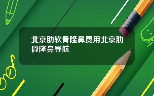 北京肋软骨隆鼻费用北京肋骨隆鼻导航