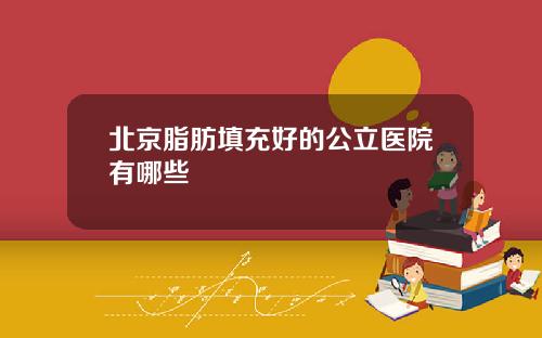 北京脂肪填充好的公立医院有哪些