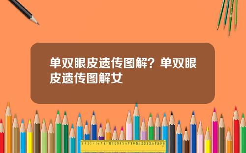 单双眼皮遗传图解？单双眼皮遗传图解女