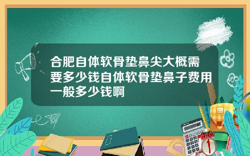 合肥自体软骨垫鼻尖大概需要多少钱自体软骨垫鼻子费用一般多少钱啊