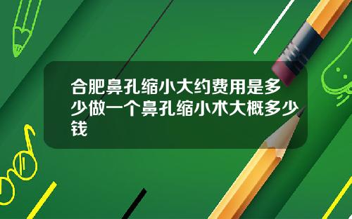 合肥鼻孔缩小大约费用是多少做一个鼻孔缩小术大概多少钱