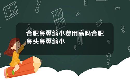 合肥鼻翼缩小费用高吗合肥鼻头鼻翼缩小