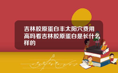 吉林胶原蛋白丰太阳穴费用高吗看吉林胶原蛋白是长什么样的