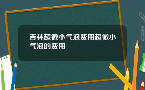 吉林超微小气泡费用超微小气泡的费用