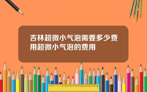 吉林超微小气泡需要多少费用超微小气泡的费用