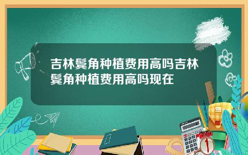 吉林鬓角种植费用高吗吉林鬓角种植费用高吗现在
