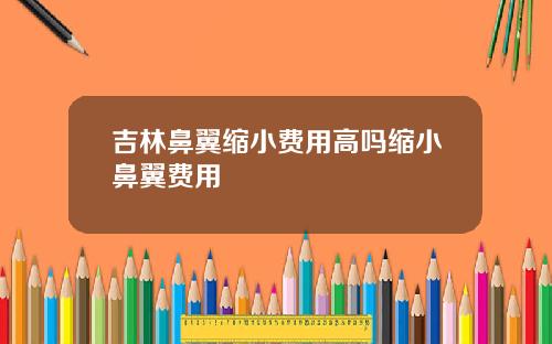 吉林鼻翼缩小费用高吗缩小鼻翼费用