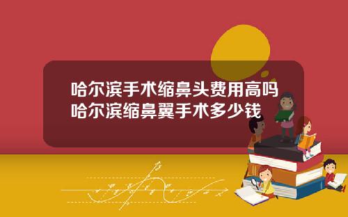 哈尔滨手术缩鼻头费用高吗哈尔滨缩鼻翼手术多少钱