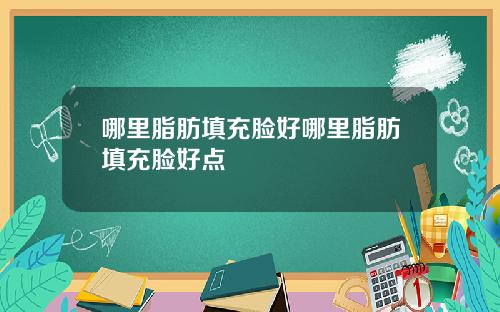 哪里脂肪填充脸好哪里脂肪填充脸好点