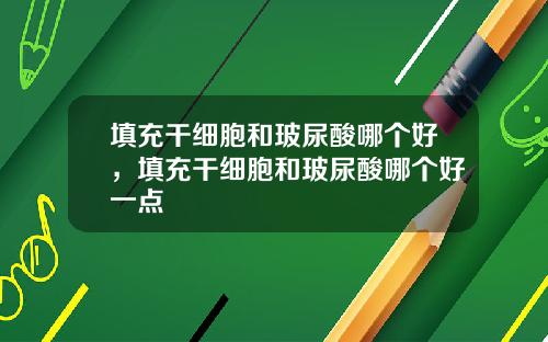 填充干细胞和玻尿酸哪个好，填充干细胞和玻尿酸哪个好一点