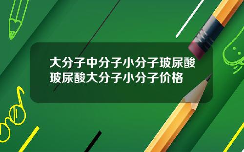 大分子中分子小分子玻尿酸玻尿酸大分子小分子价格