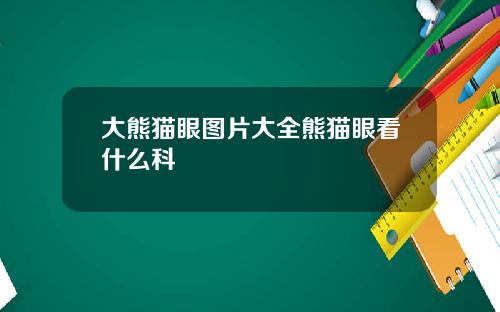大熊猫眼图片大全熊猫眼看什么科