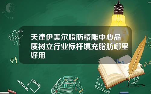 天津伊美尔脂肪精雕中心品质树立行业标杆填充脂肪哪里好用