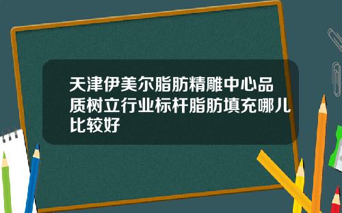天津伊美尔脂肪精雕中心品质树立行业标杆脂肪填充哪儿比较好