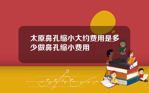 太原鼻孔缩小大约费用是多少做鼻孔缩小费用