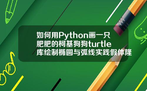 如何用Python画一只肥肥的柯基狗狗turtle库绘制椭圆与弧线实践假体隆鼻鼻尖顶出白圈不疼正常吗图片
