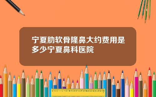 宁夏肋软骨隆鼻大约费用是多少宁夏鼻科医院
