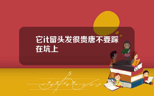 它it留头发很贵唐不要踩在坑上