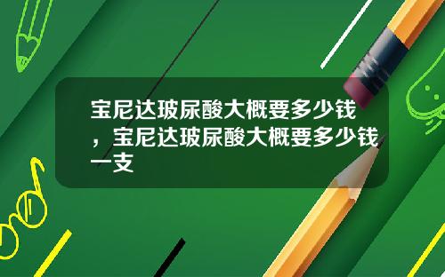 宝尼达玻尿酸大概要多少钱，宝尼达玻尿酸大概要多少钱一支