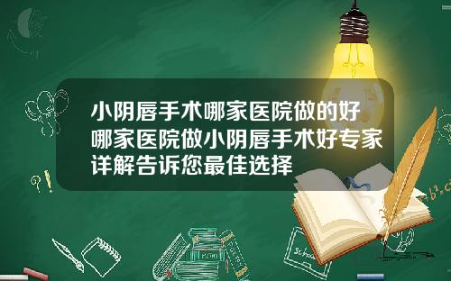 小阴唇手术哪家医院做的好哪家医院做小阴唇手术好专家详解告诉您最佳选择
